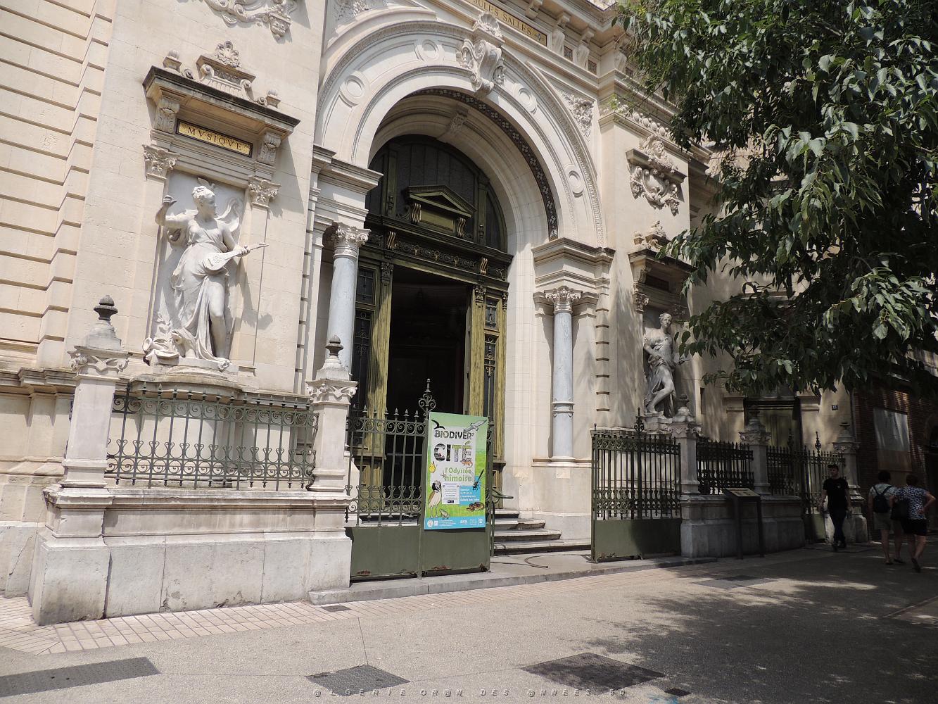 2022 07 UN AIR DE VACANCES LE 22 NIMES (56).JPG -           